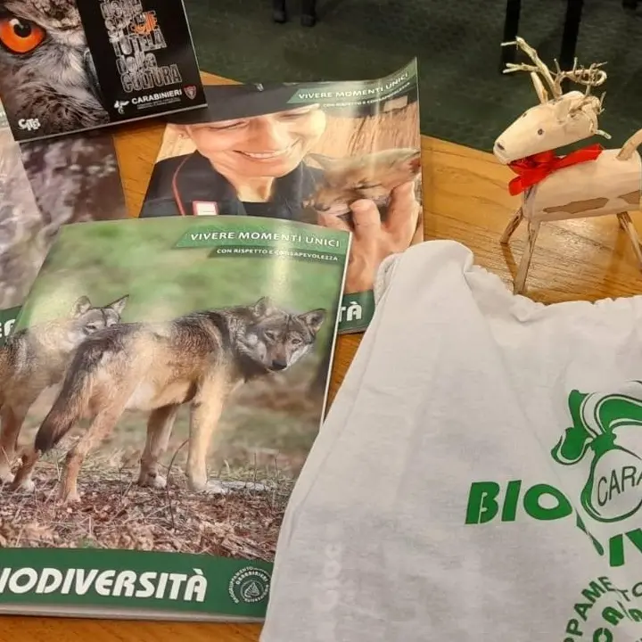 Vibo, la Befana della biodiversità pronta ad approdare all’ospedale Jazzolino