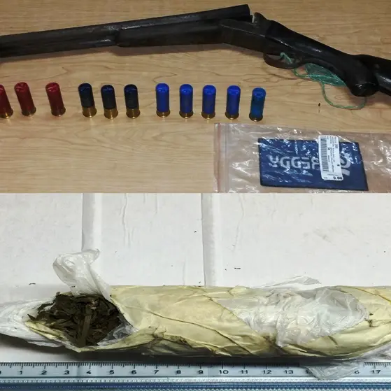 Armi e droga, due arresti ad Acquaro e Serra San Bruno
