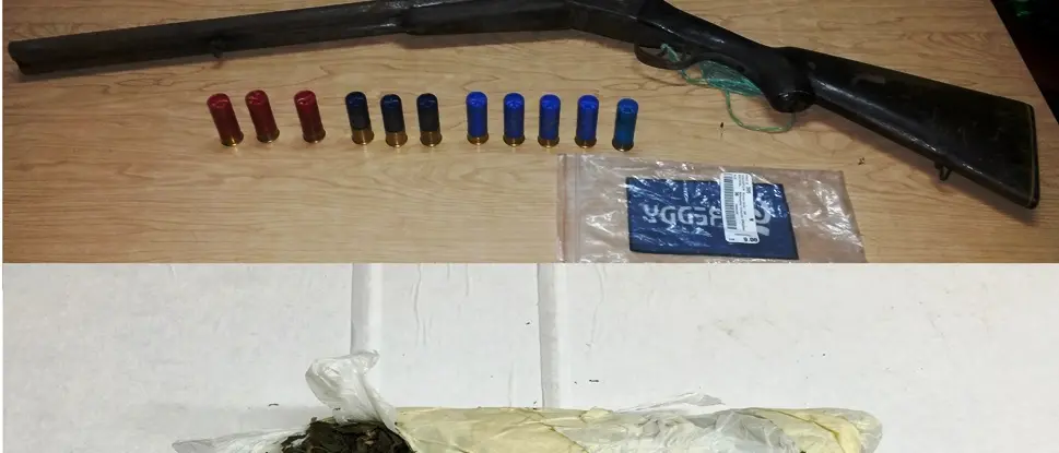 Armi e droga, due arresti ad Acquaro e Serra San Bruno