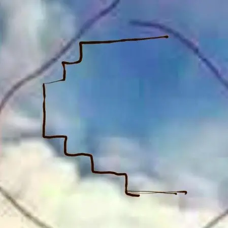 Natuzza Evolo e il finto miracolo che impazza sul web