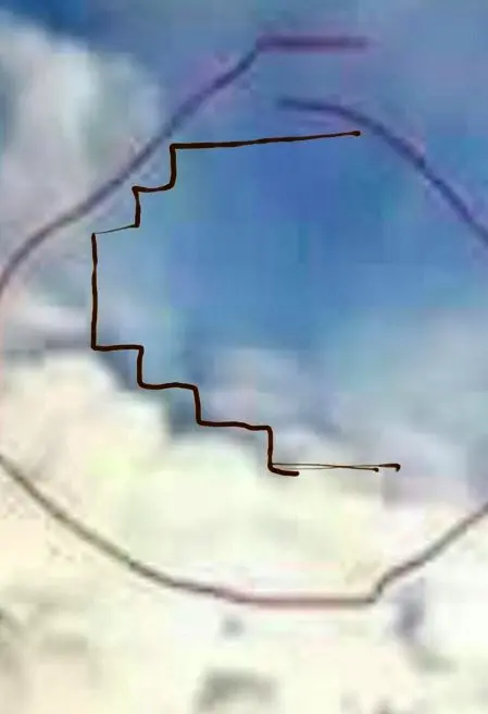 Natuzza Evolo e il finto miracolo che impazza sul web