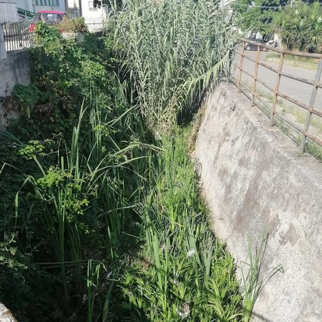 Vibo: il vice coordinatore di Azione interviene sulla gestione di fossi e torrenti