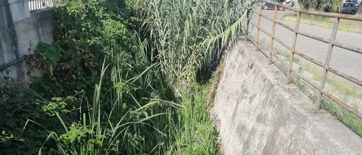Ambiente, il Comune di Vibo interviene sui torrenti e affida i lavori di bonifica: ecco dove