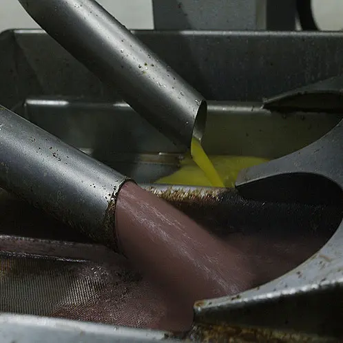 Reflui oleari nelle fogne, frantoio sequestrato a Cessaniti