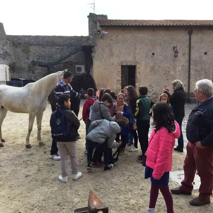 Settimana della Dieta mediterranea, inaugurata ieri la rassegna del Club Unesco