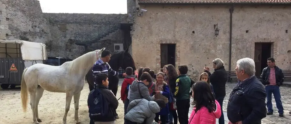Settimana della Dieta mediterranea, inaugurata ieri la rassegna del Club Unesco