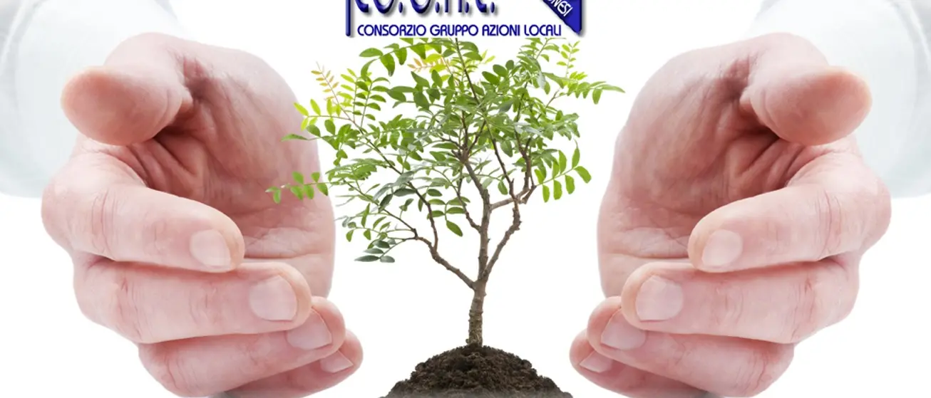 Politiche di sviluppo dei territori rurali, convegno per i 20 anni del Cogal