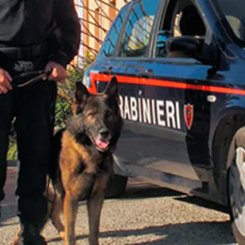 Droga, armi ed un’auto rubata scoperte dai carabinieri