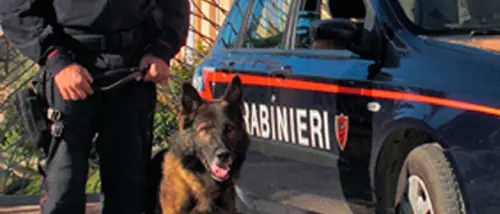 Droga. Sgominato traffico tra Sicilia e Calabria, perquisizioni anche a Vibo