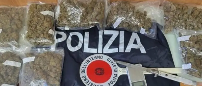 Marijuana in casa, obbligo di firma per giovane di Tropea