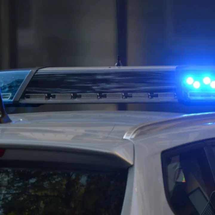 Camion in avaria lungo l’A2, traffico rallentato nei pressi di Pizzo