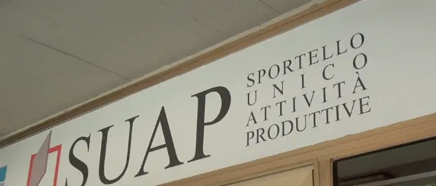 Potenziamento servizio Suap, concluso il seminario di Vibo Sviluppo