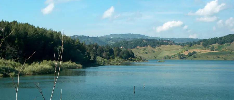 Reflui oleari sversati nel lago Angitola, tre denunce a Monterosso