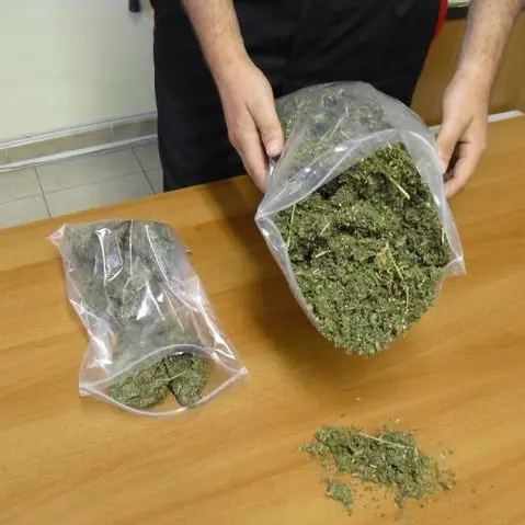 Detenevano marijuana, due muratori arrestati a Mileto