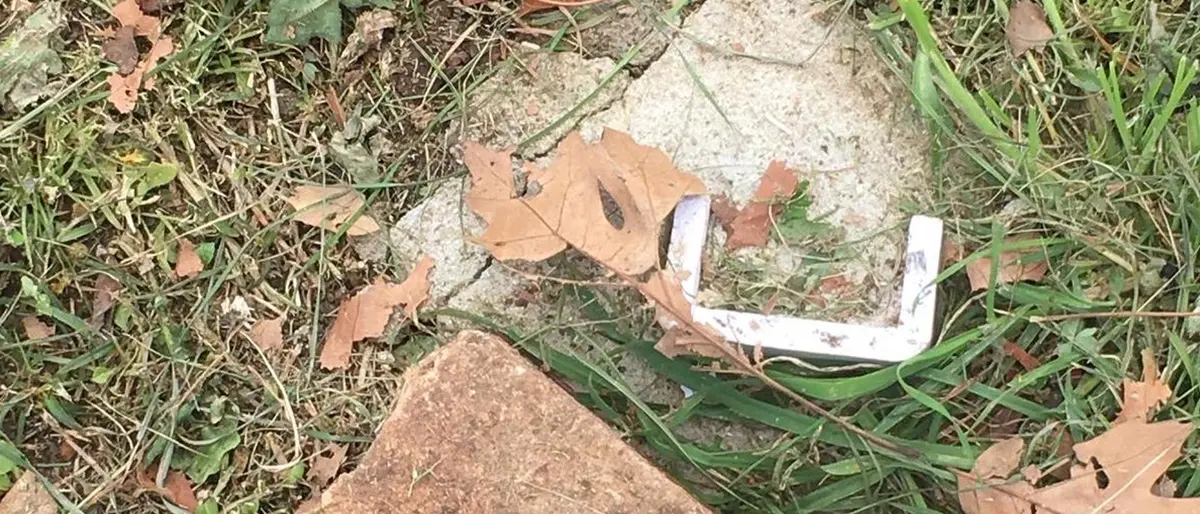 Sant’Onofrio, danneggiato il “Giardino della Memoria” dedicato alle vittime Covid