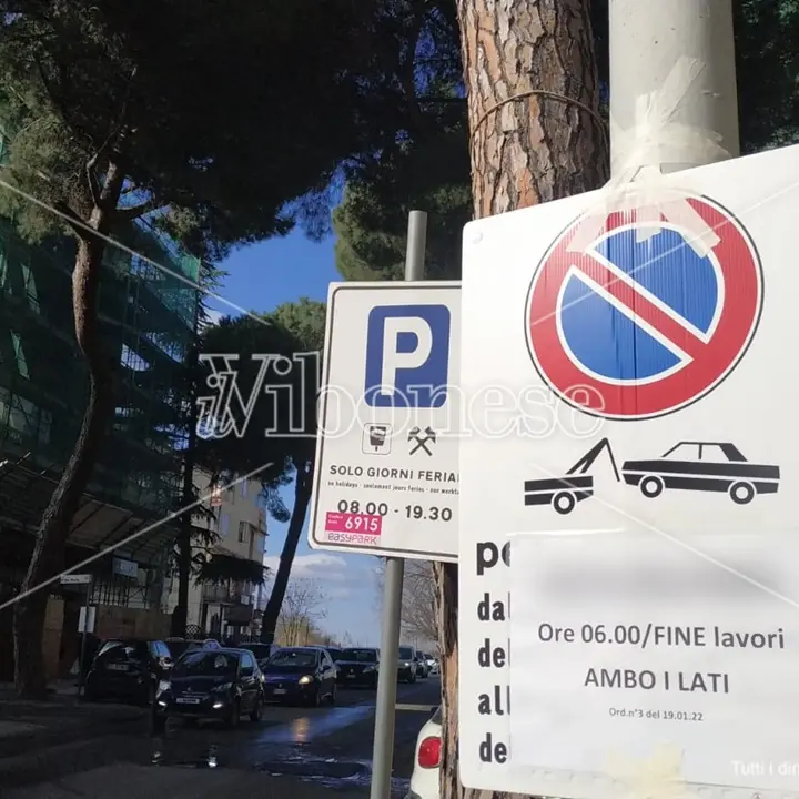 Vibo, auto in divieto di sosta: sopralluogo della Polizia locale e multe