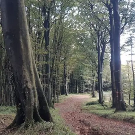 Il parco eolico di Monterosso non si farà, negata l'autorizzazione: «La nostra montagna è salva»
