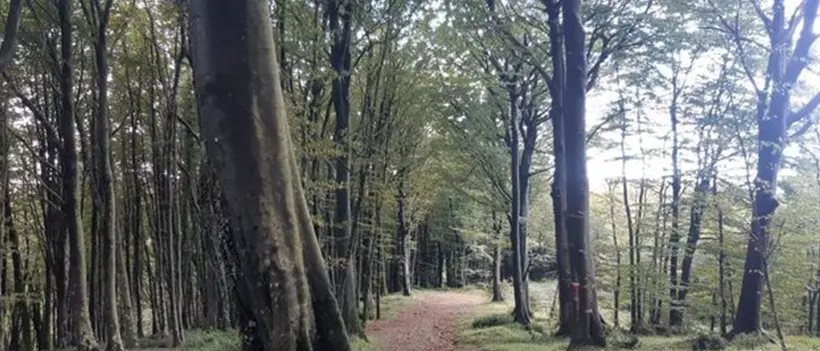 Il parco eolico di Monterosso non si farà, negata l'autorizzazione: «La nostra montagna è salva»