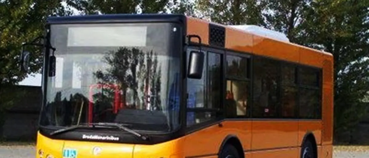 Vibo, trasporto con «bus fantasma e senza pensiline». Coraggio Italia al sindaco: «Provvedere»