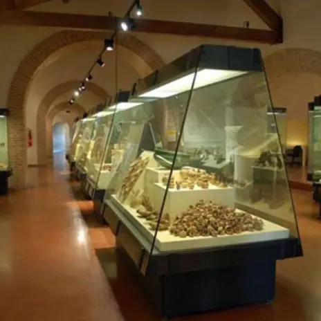 Festa dei Musei, Vibo e Mileto svelano i loro tesori nascosti
