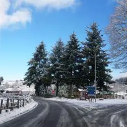 Prima neve: mancano uomini, mezzi e perfino il sale. Sotto accusa la Provincia - FOTO