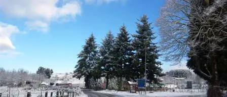 Prima neve: mancano uomini, mezzi e perfino il sale. Sotto accusa la Provincia - FOTO