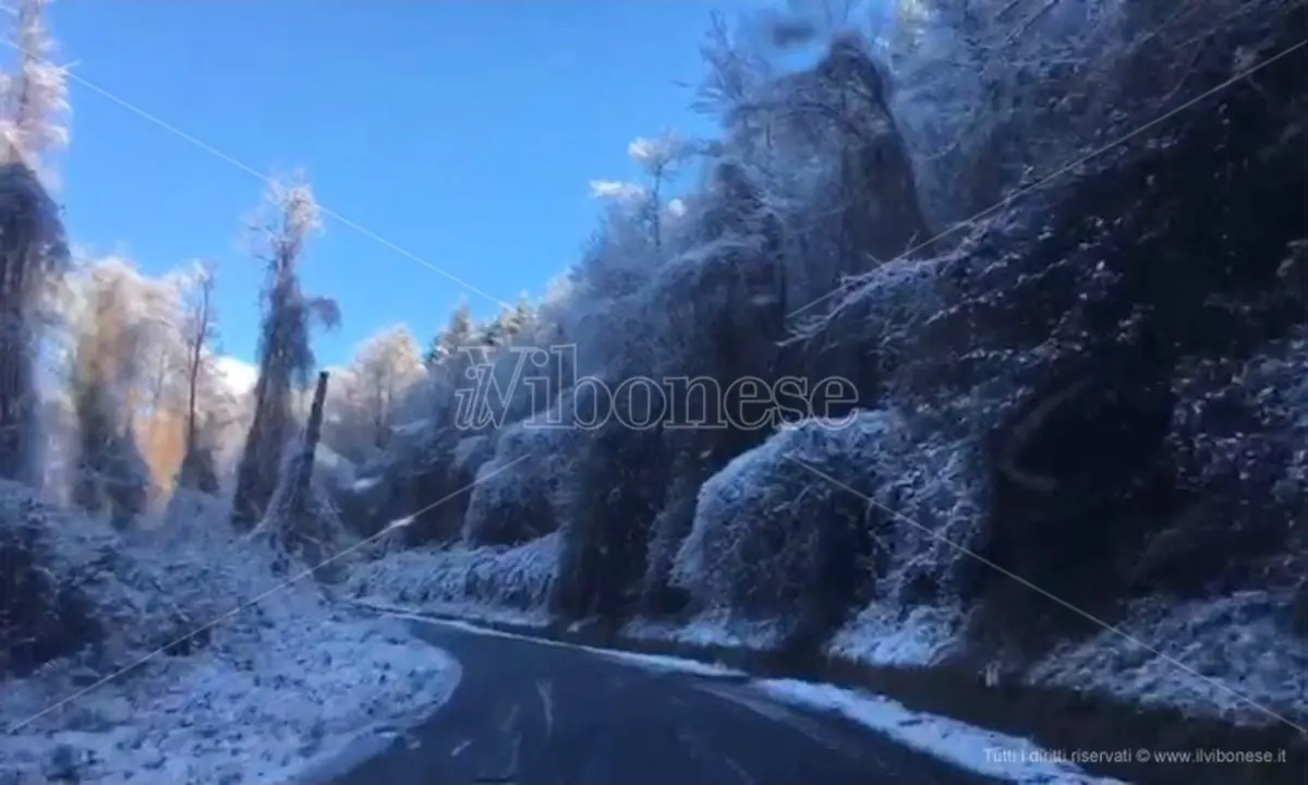 Neve sulle Serre vibonesi: bianco risveglio anche a bassa quota - Video
