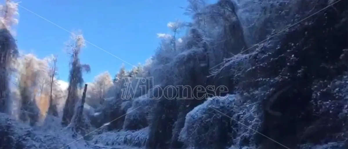 Meteo, nel Vibonese è tornato l'inverno: maltempo e neve nelle Serre