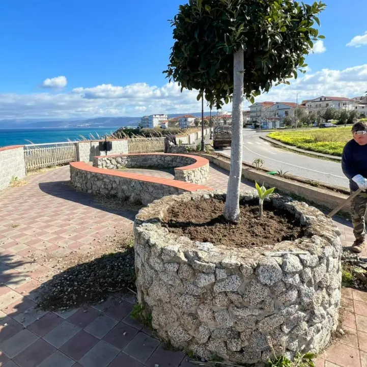 Turismo e lavoro, L’associazione commercianti Briatico: «Attività in crescita»