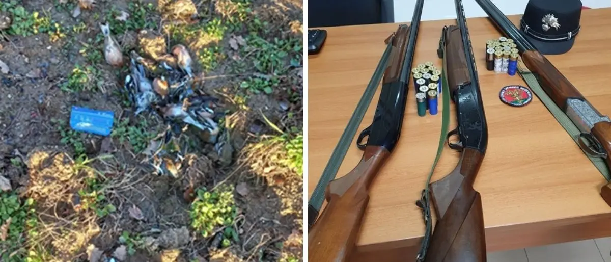 Abbattono fringuelli, denunciati tre bracconieri nei boschi di Sorianello