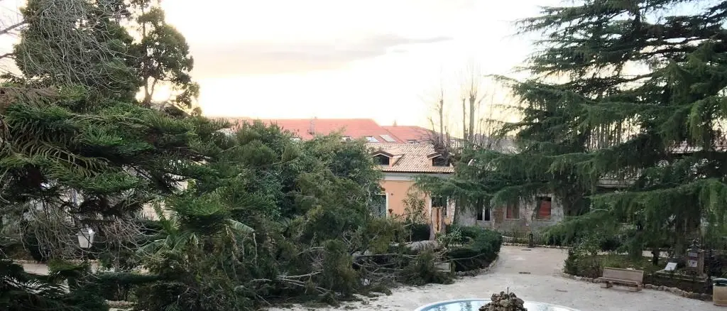 Cade albero nella villa comunale, operaio ferito