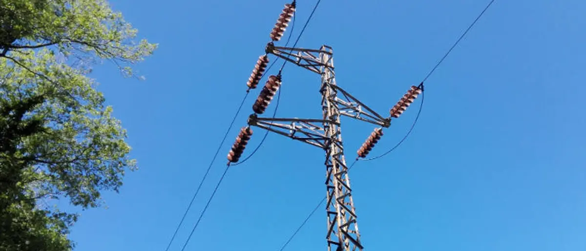 Rimozione tralicci alta tensione in Calabria, De Angelis: «Terna pronta ad intervenire»