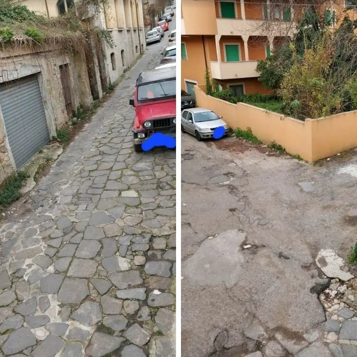 Topi e degrado nel cuore di Vibo. La rabbia dei residenti: «Non ne possiamo più»