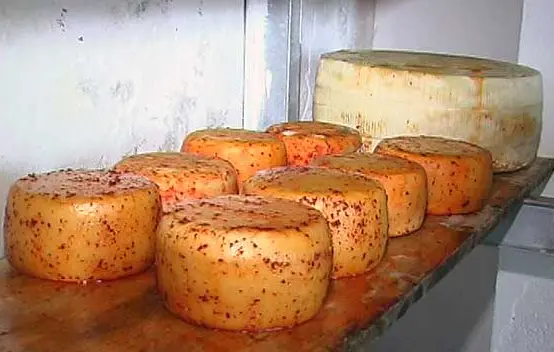 Pecorino del Poro, nasce la “Comunità del cibo” Slow Food