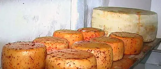 Pecorino del Poro, nasce la “Comunità del cibo” Slow Food