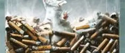 “Aiutali a uscirne”, Lav in piazza contro i test sugli animali