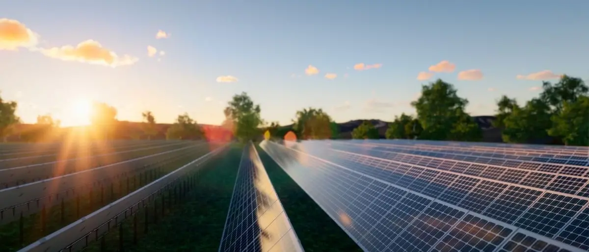 Dalla Camera di commercio contributi a fondo perduto per le imprese vibonesi che puntano su digitalizzazione e sostenibilità ambientale