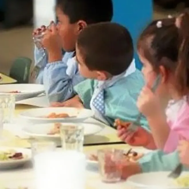 Maierato, il Comune appalta il servizio di refezione scolastica (18mila euro): vince una ditta di Lamezia con un ribasso dello 0,01%