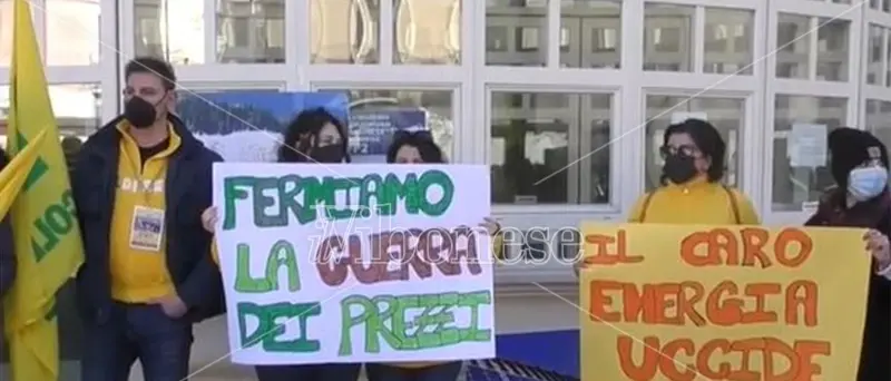 Allevatori calabresi in piazza contro il caro prezzi: «Così non si può andare avanti»