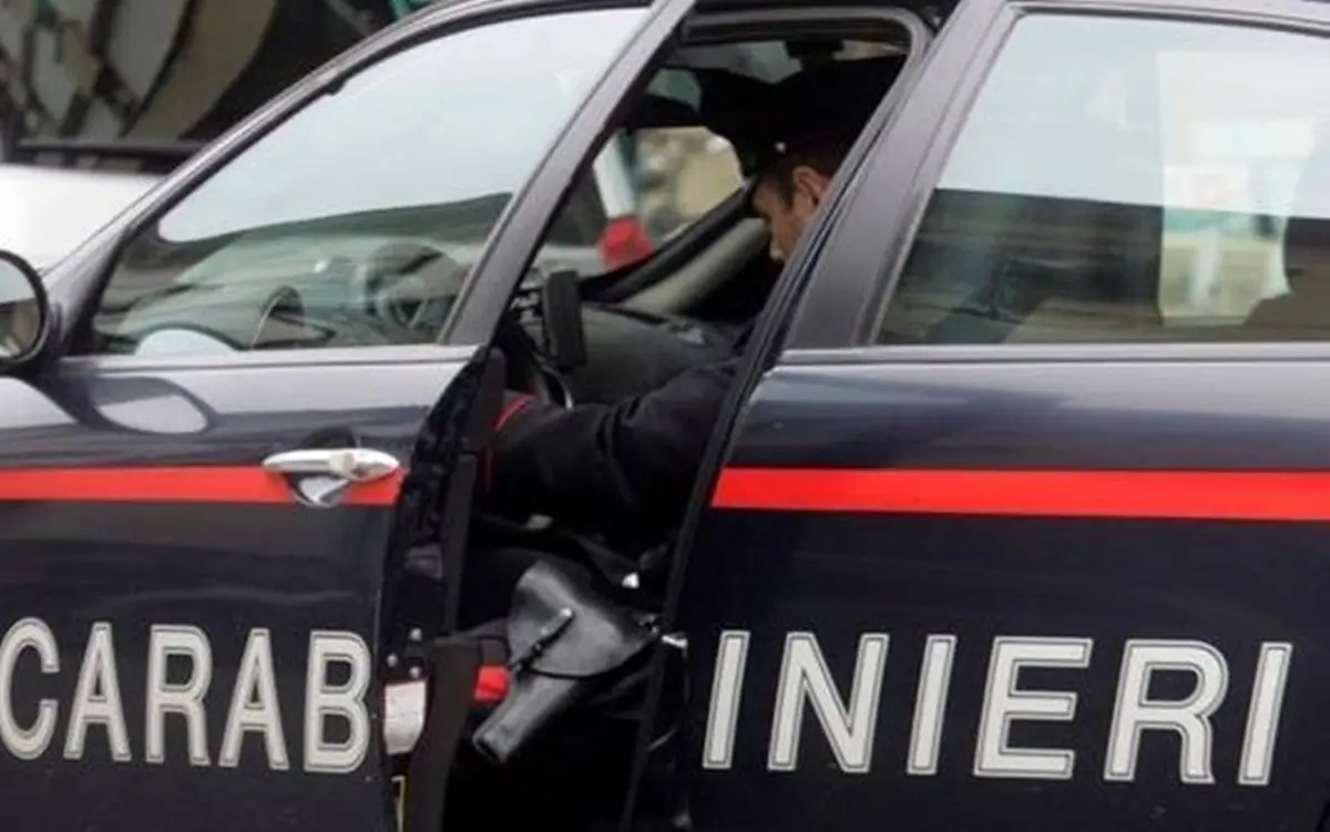 Briatico, anziano cerca di rimuovere un semaforo e scatta la lite: denunciato per aggressione il compagno della vicesindaca