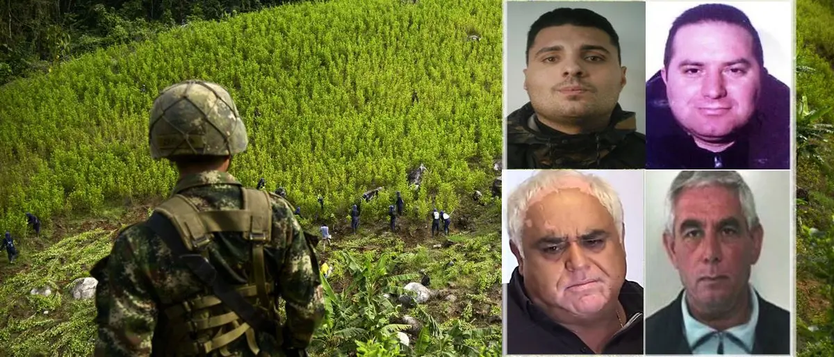 Narcotraffico dal Sud America al Vibonese: in 70 rinviati a giudizio