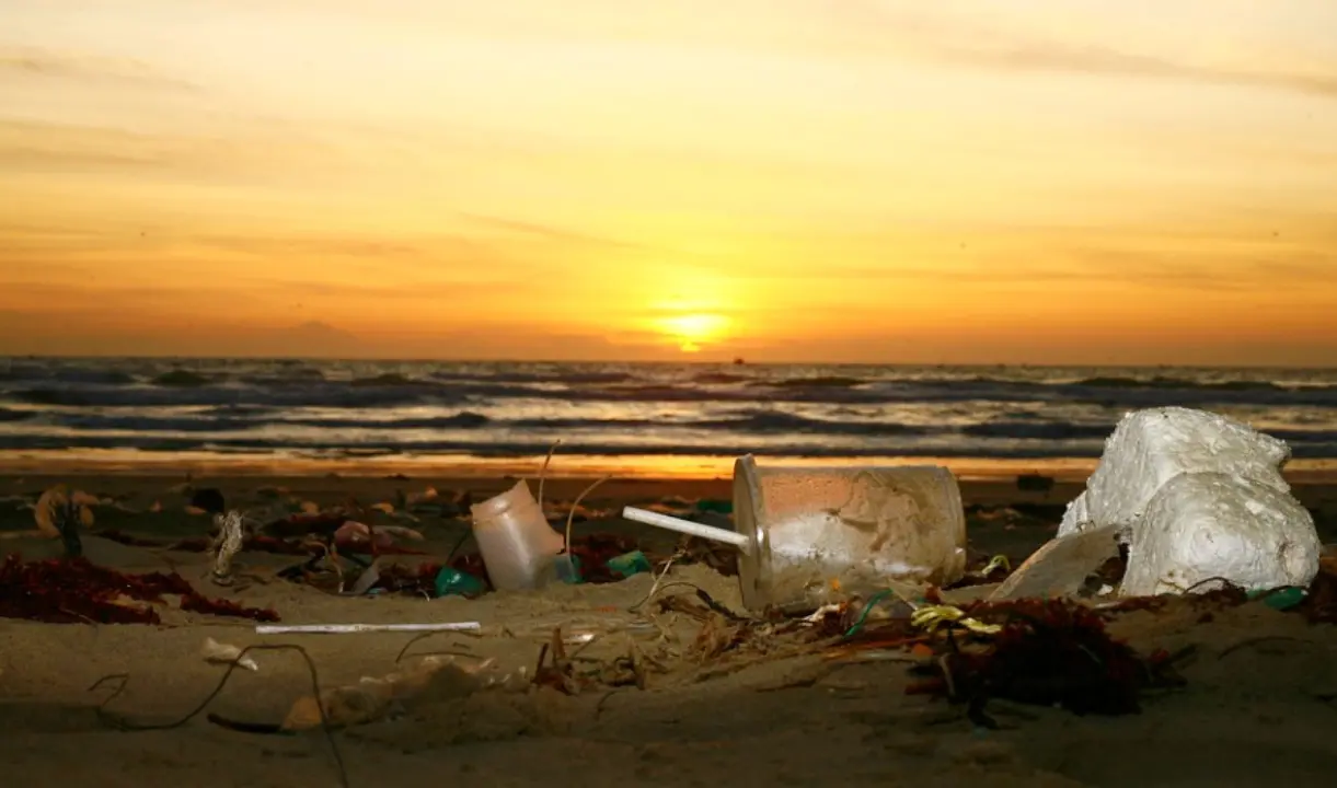 L’onda blu dei volontari di Plastic free pronta a ripulire una spiaggia di Pizzo