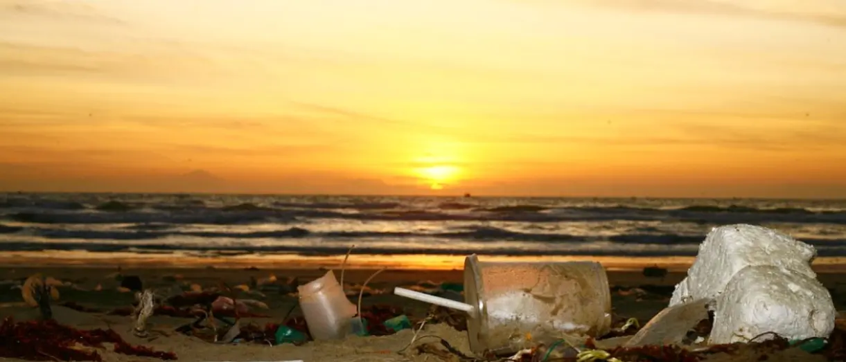 Tutela dell’ambiente, piena sinergia tra le associazioni “Adesso Pizzo” e “Plastic free”
