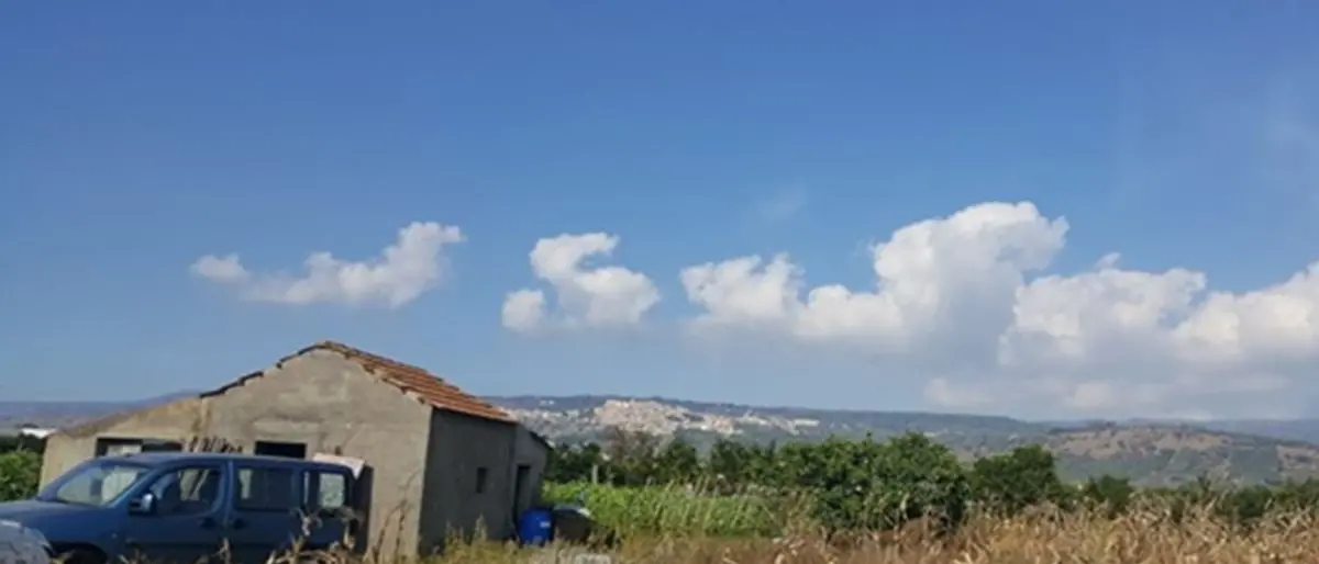 Maxi-piantagione di marijuana a Nicotera, sentenza definitiva