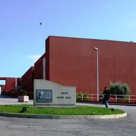 Unical, al via il progetto STEM4Teach@Cal: promuove l’accesso delle donne alle carriere scientifiche\n