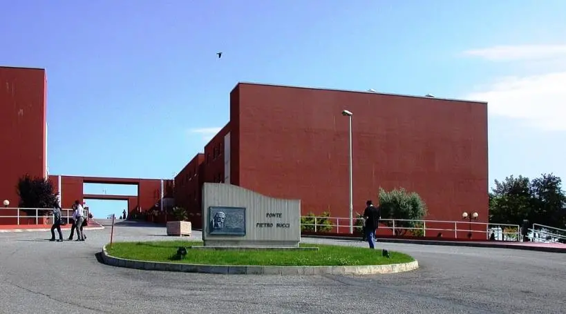 Unical, al via il progetto STEM4Teach@Cal: promuove l’accesso delle donne alle carriere scientifiche\n