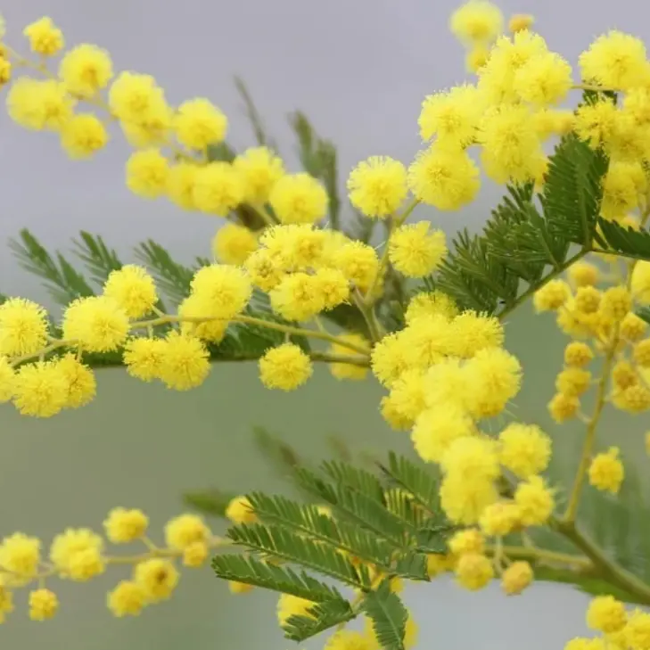 Donne e volontariato, focus al Centro di aggregazione sociale di Vibo