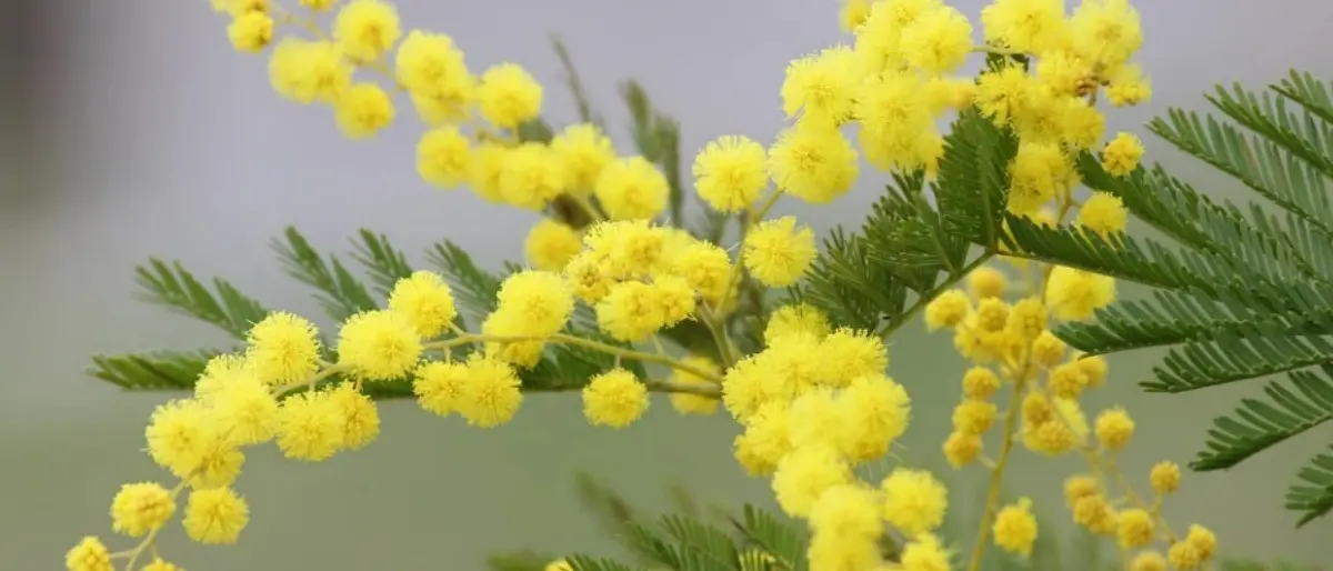 Donne e volontariato, focus al Centro di aggregazione sociale di Vibo
