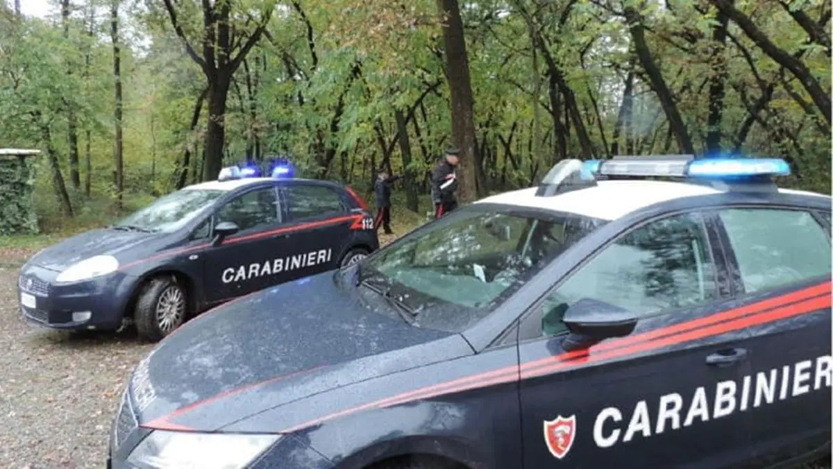 ‘Ndrangheta: i legami fra i “locali” di Stilo e Gerocarne nell’operazione “Doppio sgarro”