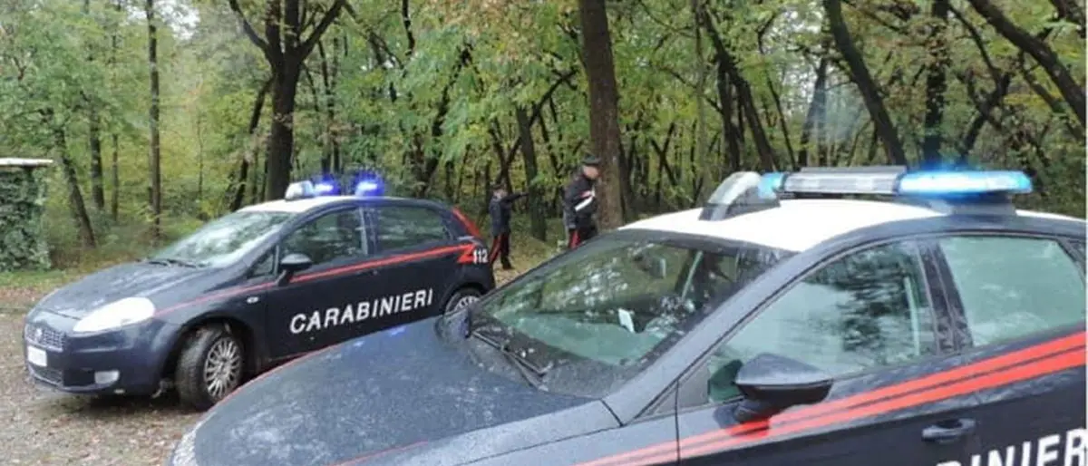 ‘Ndrangheta: i legami fra i “locali” di Stilo e Gerocarne nell’operazione “Doppio sgarro”